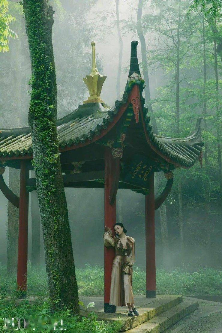 红莲之王