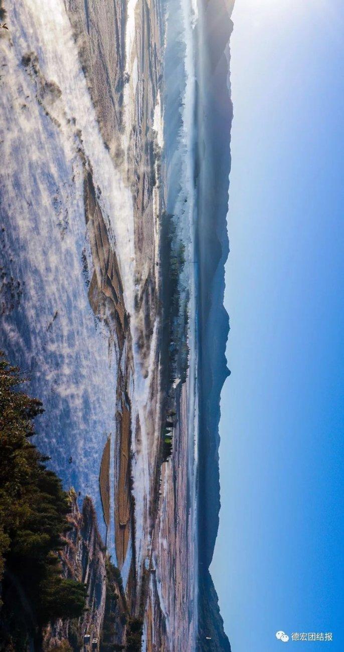 寻找沙漠珍宝