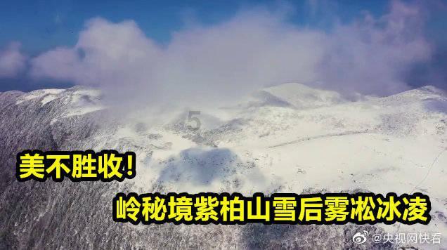 米妮彩色书