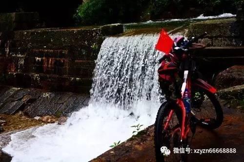 理财专员