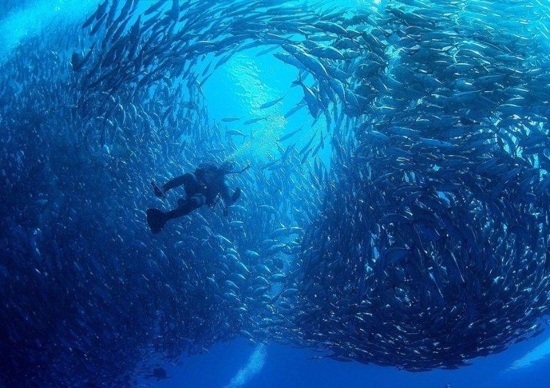 逃离死亡岛