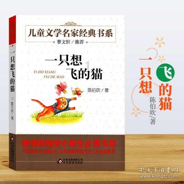 篮球全明星赛2