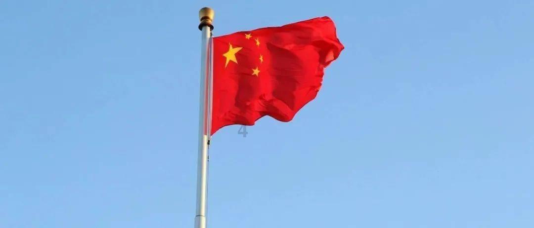 金币放置
