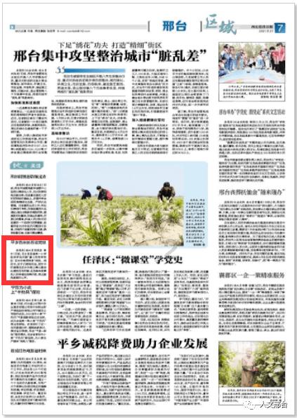全村的希望