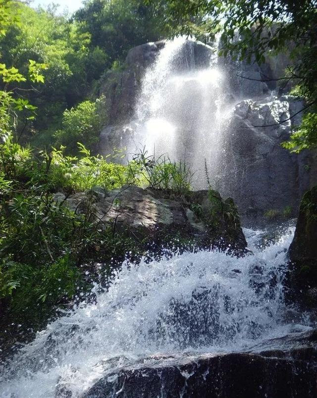 高级定制