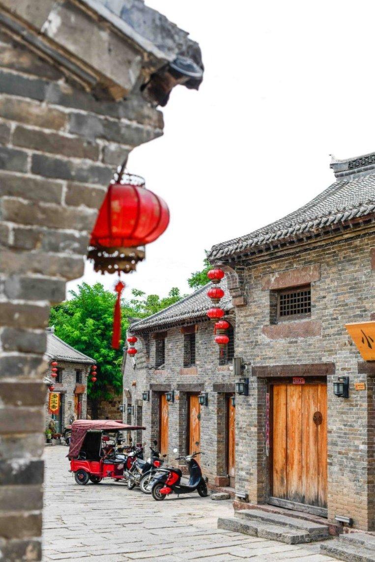 捡到一只猫 邻居说耳朵立不起来不是好猫 朋友却叫我一定要收养它