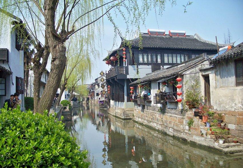 动物帮帮忙保卫家园